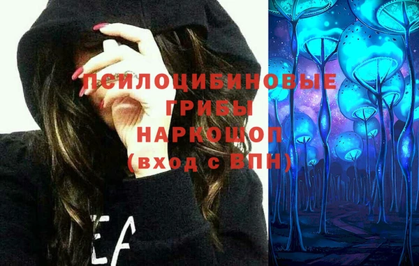 ешки Абинск